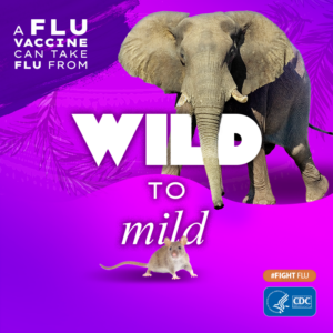 CDC Wild to Mild Flu vaccine  graphic